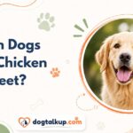 Can Dogs Eat Chicken Feet?
