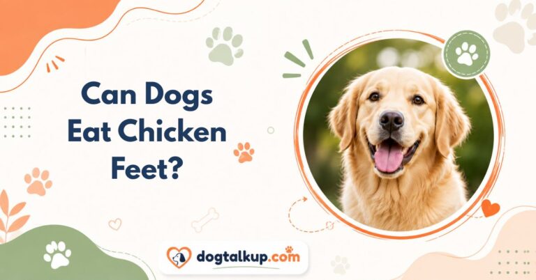 Can Dogs Eat Chicken Feet?