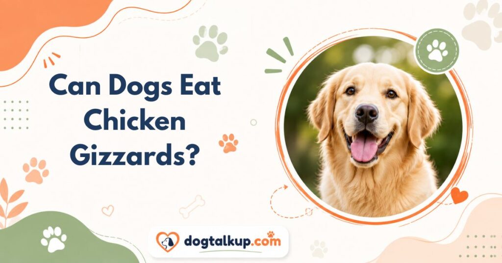 Can Dogs Eat Chicken Gizzards?