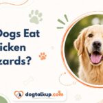 Can Dogs Eat Chicken Gizzards?