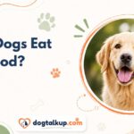 Can Dogs Eat Cod