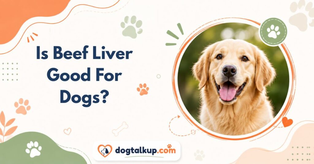 Is Beef Liver Good For Dogs
