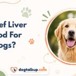 Is Beef Liver Good For Dogs