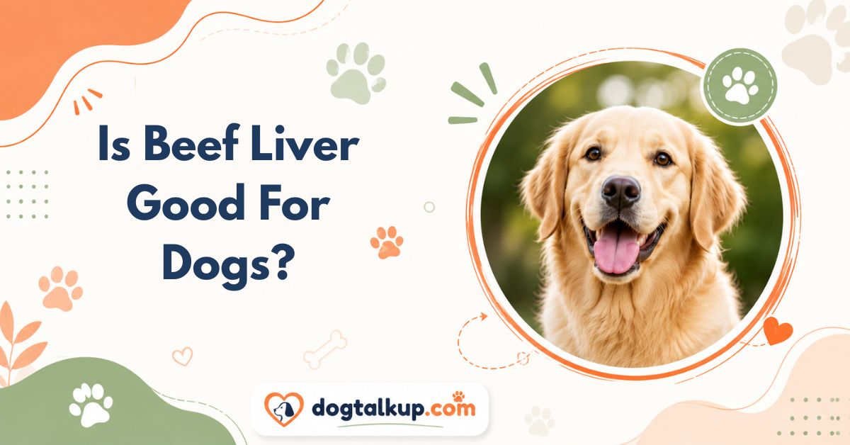 Is Beef Liver Good For Dogs