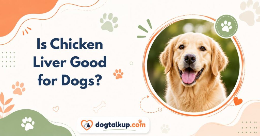 Is Chicken Liver Good for Dogs?