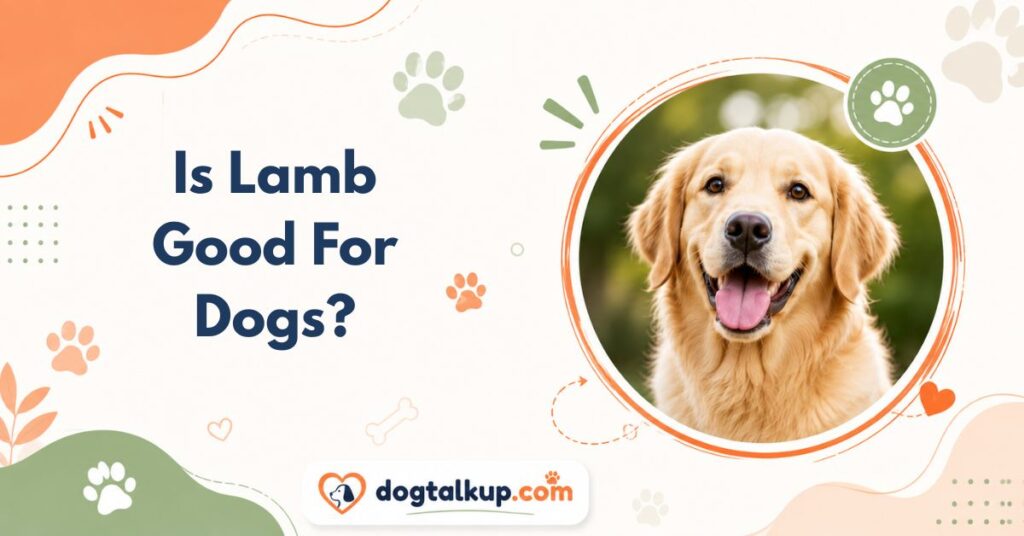 Is Lamb Good For Dogs?