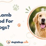 Is Lamb Good For Dogs?