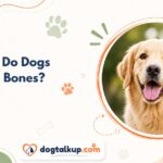 Why Do Dogs Like Bones?