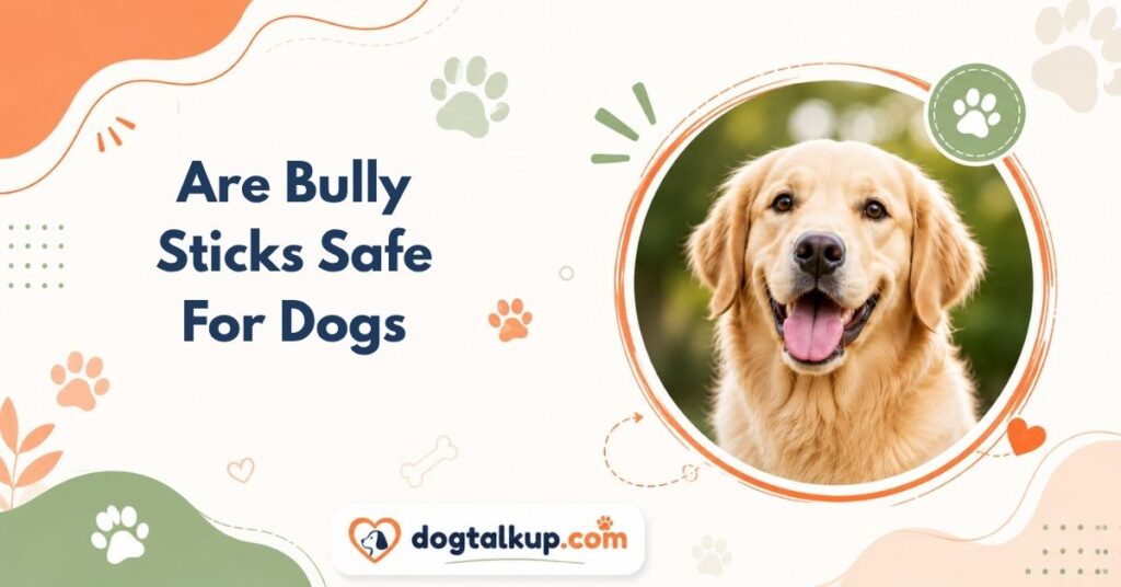 Are Bully Sticks Safe For Dogs
