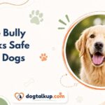 Are Bully Sticks Safe For Dogs