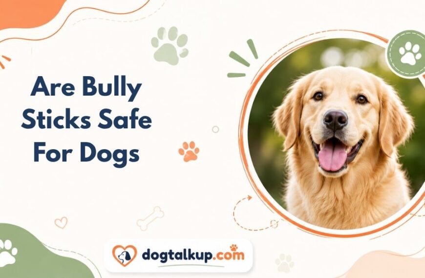 Are Bully Sticks Safe For Dogs