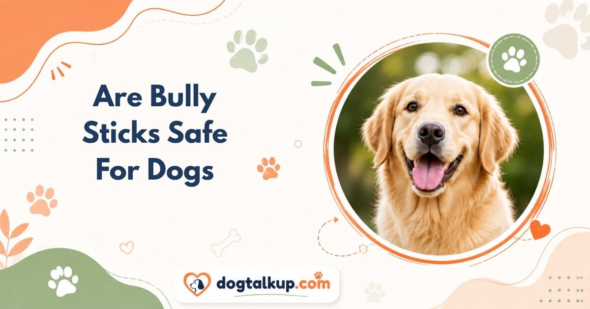 Are Bully Sticks Safe For Dogs