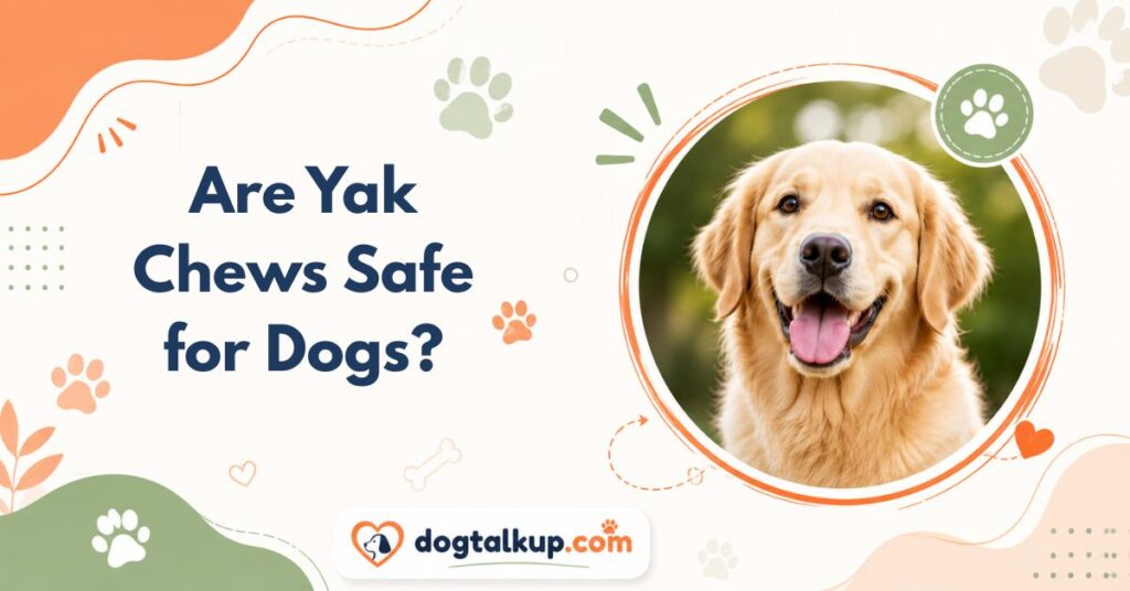 Are Yak Chews Safe for Dogs?
