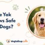 Are Yak Chews Safe for Dogs?