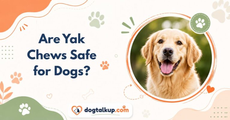 Are Yak Chews Safe for Dogs?