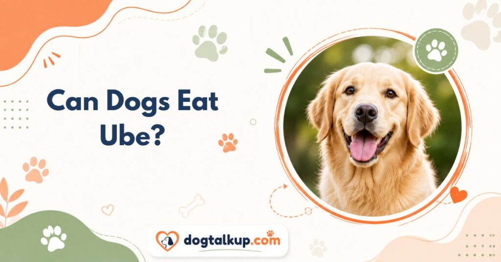 Can Dogs Eat Ube?