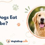 Can Dogs Eat Ube?
