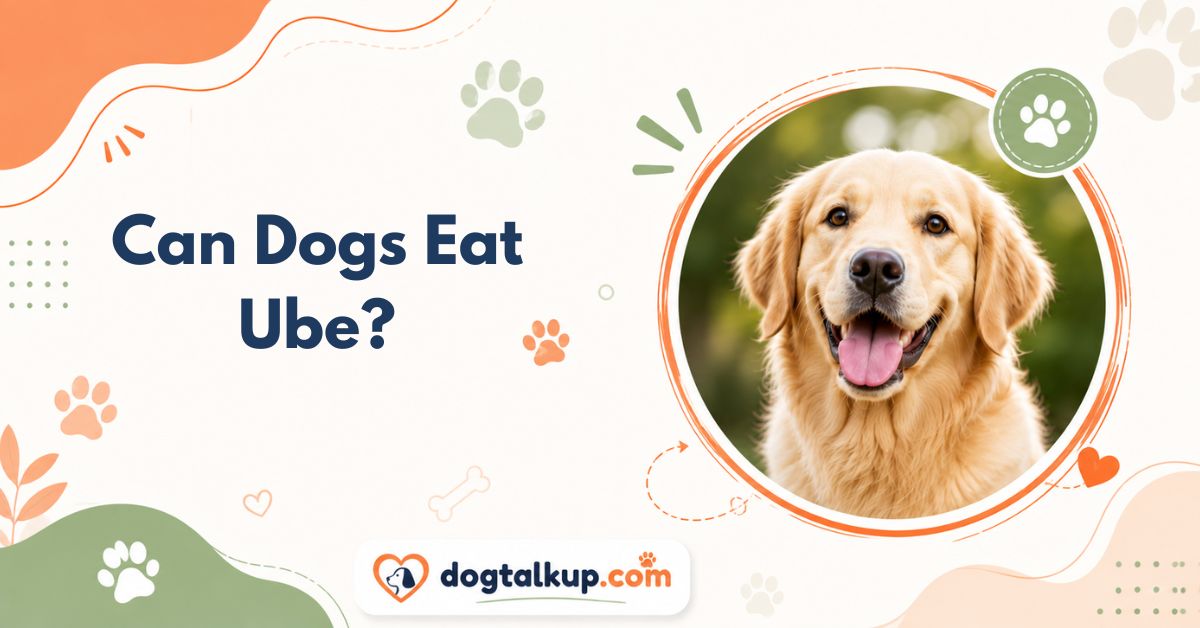 Can Dogs Eat Ube?