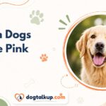 Can Dogs See Pink