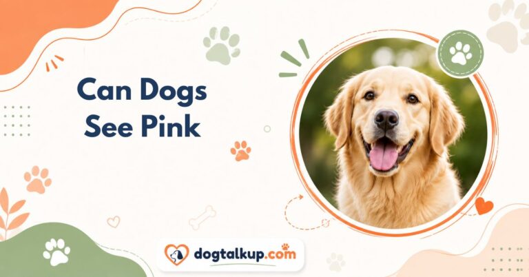 Can Dogs See Pink