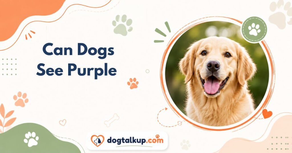 Can Dogs See Purple
