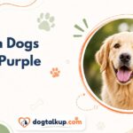 Can Dogs See Purple
