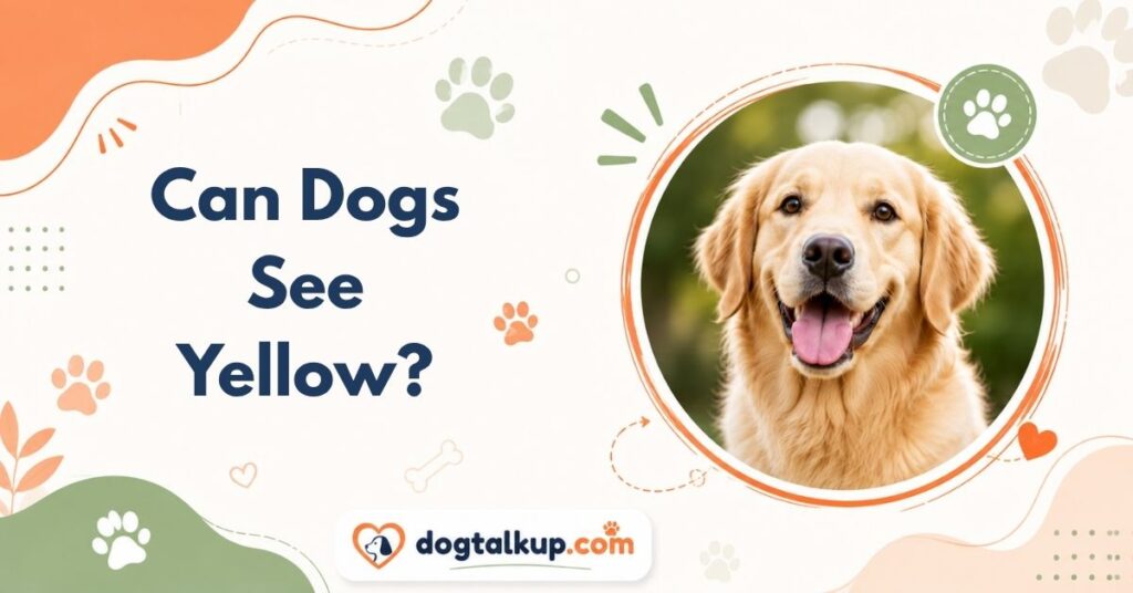 Can Dogs See Yellow?