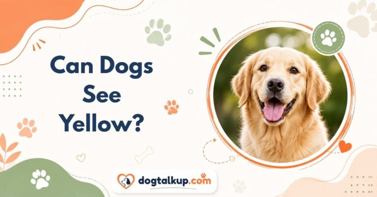 Can Dogs See Yellow?