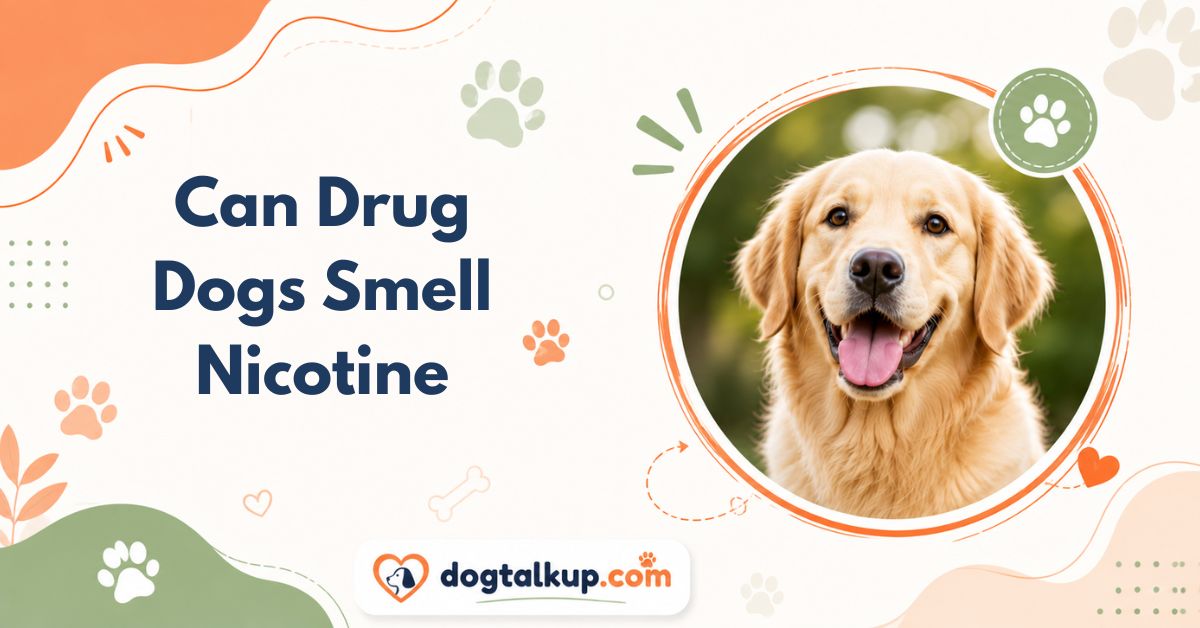 Can Drug Dogs Smell Nicotine