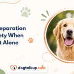 How Long Can A Dog Be Left Alone?