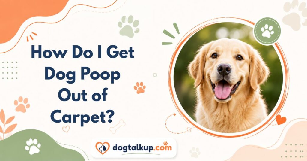 How Do I Get Dog Poop Out of Carpet?