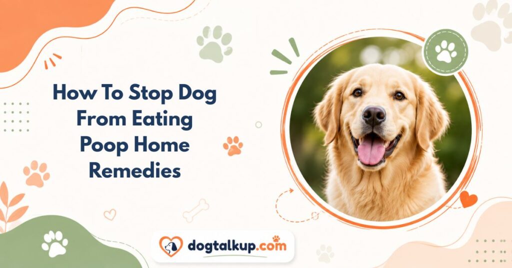 How To Stop Dog From Eating Poop Home Remedies