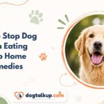 How To Stop Dog From Eating Poop Home Remedies