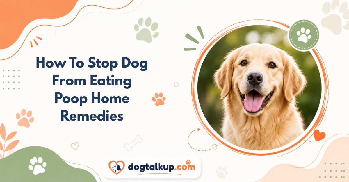 How To Stop Dog From Eating Poop Home Remedies