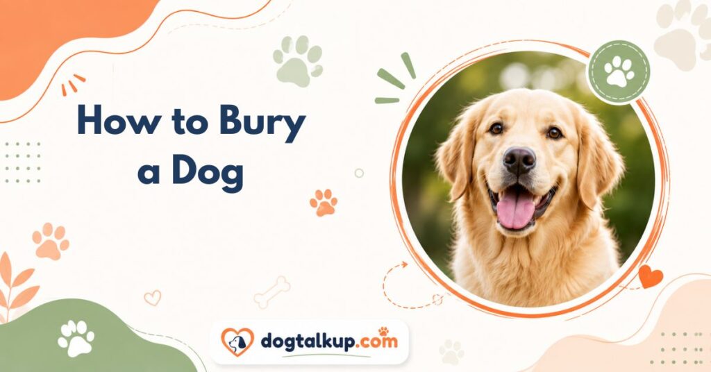How to Bury a Dog