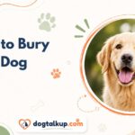 How to Bury a Dog
