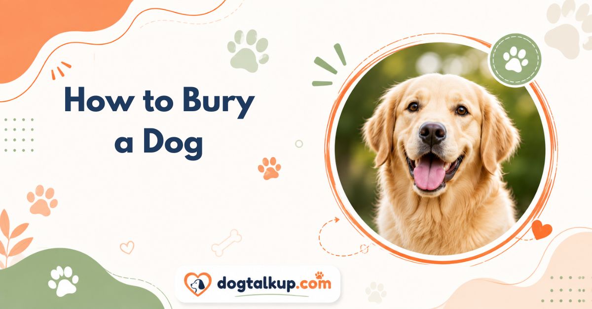 How to Bury a Dog