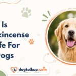 Is Frankincense Safe For Dogs