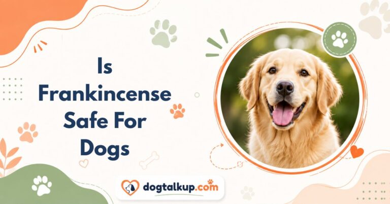 Is Frankincense Safe For Dogs