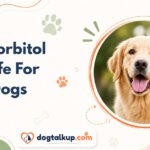 Is Sorbitol Safe For Dogs