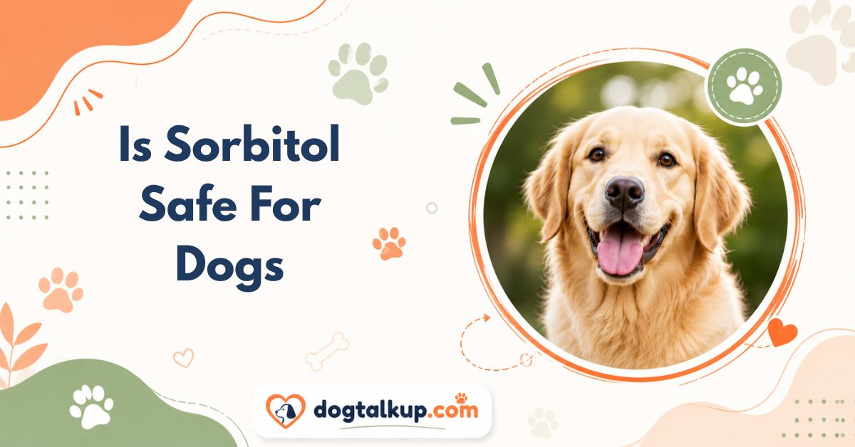 Is Sorbitol Safe For Dogs