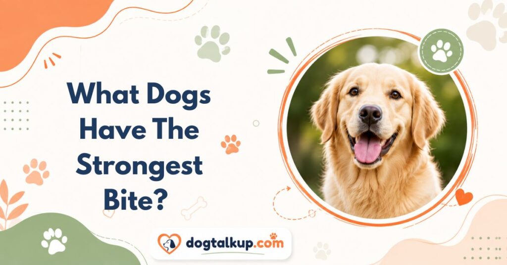 What Dogs Have The Strongest Bite?