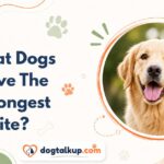 What Dogs Have The Strongest Bite?