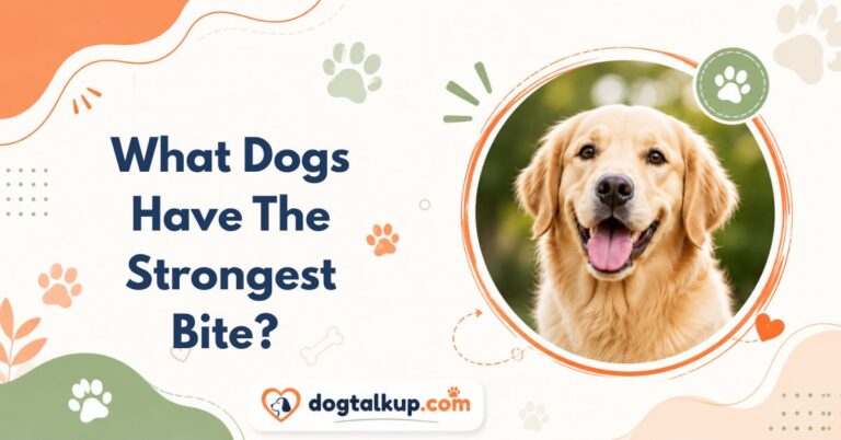 What Dogs Have The Strongest Bite?
