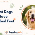 What Dogs Have Webbed Feet