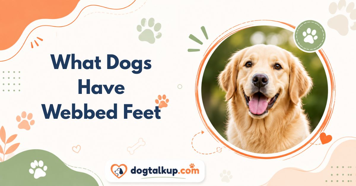 What Dogs Have Webbed Feet