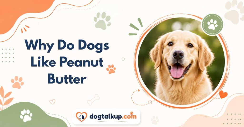 Why Do Dogs Like Peanut Butter
