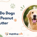Why Do Dogs Like Peanut Butter