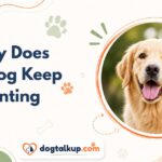 Why Does My Dog Keep Panting