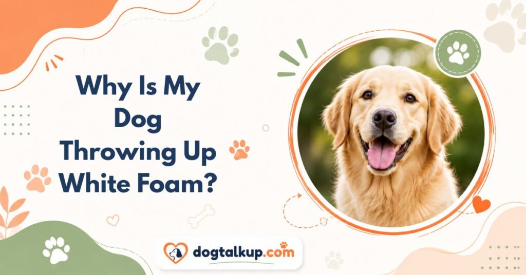 Why Is My Dog Throwing Up White Foam?